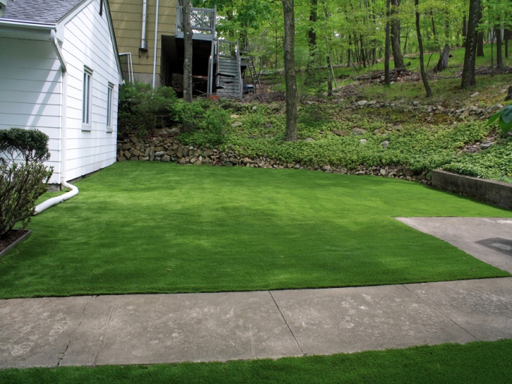 Synthetic Grass Vernon, Arizona Design Ideas, Small Front Yard Landscaping