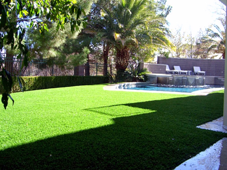 Synthetic Grass White Mountain Lake, Arizona Rooftop, Backyard Garden Ideas