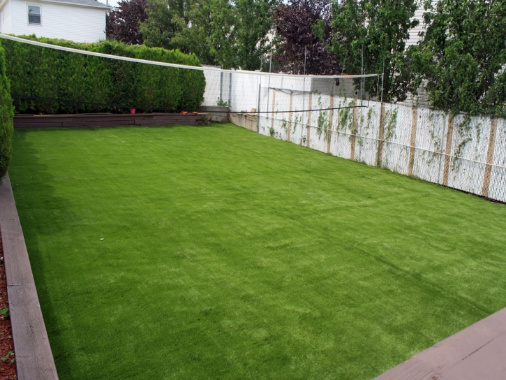 Synthetic Lawn Amado, Arizona Lawns, Backyards