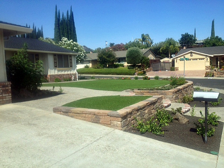 Synthetic Lawn Brenda, Arizona Design Ideas, Front Yard