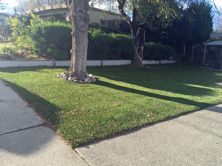 Synthetic Lawn Buckeye, Arizona Gardeners, Front Yard Ideas