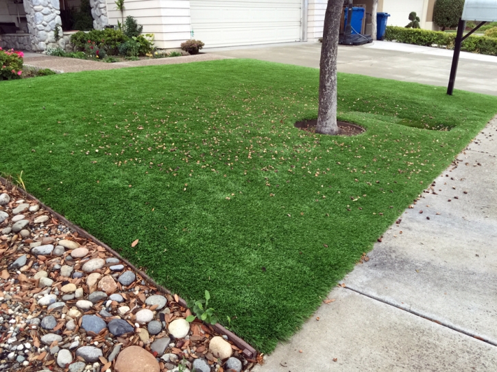 Synthetic Lawn Grand Canyon, Arizona Landscaping, Front Yard Design