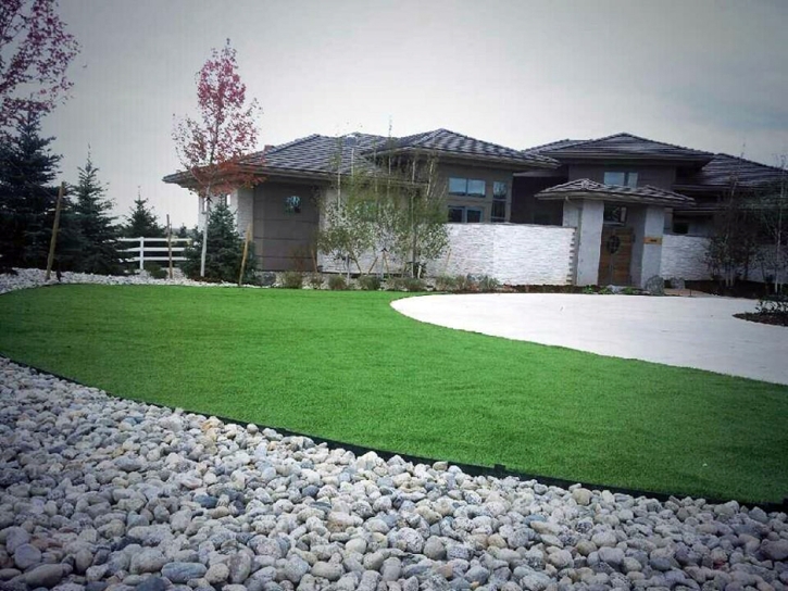 Synthetic Lawn Guadalupe, Arizona Landscaping, Small Front Yard Landscaping