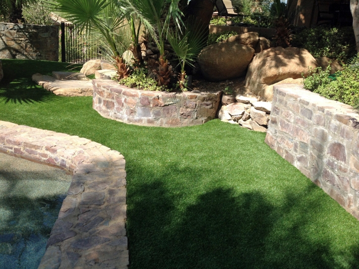 Synthetic Lawn Mesa del Caballo, Arizona Dog Run, Backyard Ideas