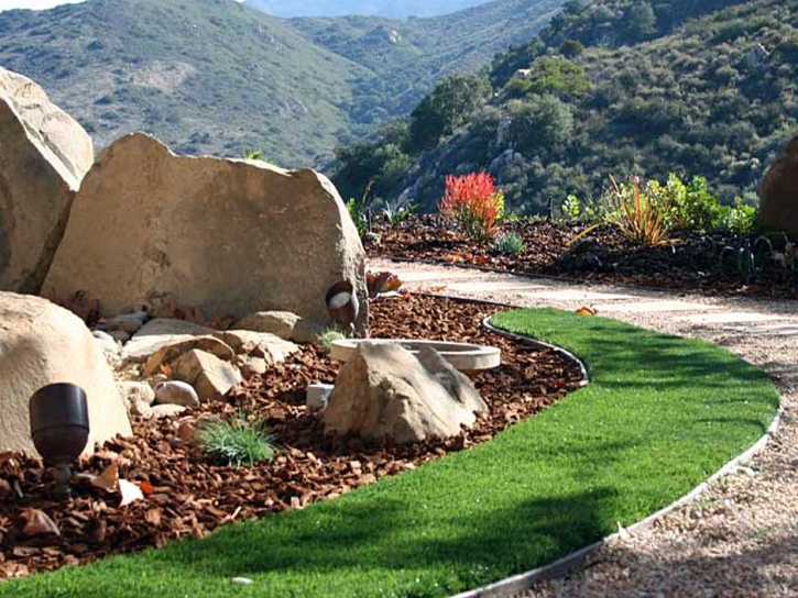 Synthetic Lawn Santa Cruz, Arizona Home And Garden, Front Yard Design