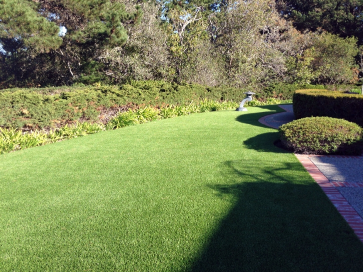 Synthetic Lawn Show Low, Arizona Lawn And Landscape, Front Yard Landscape Ideas