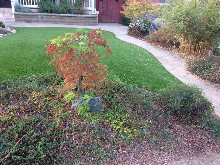 Synthetic Lawn Show Low, Arizona Backyard Playground, Small Front Yard Landscaping