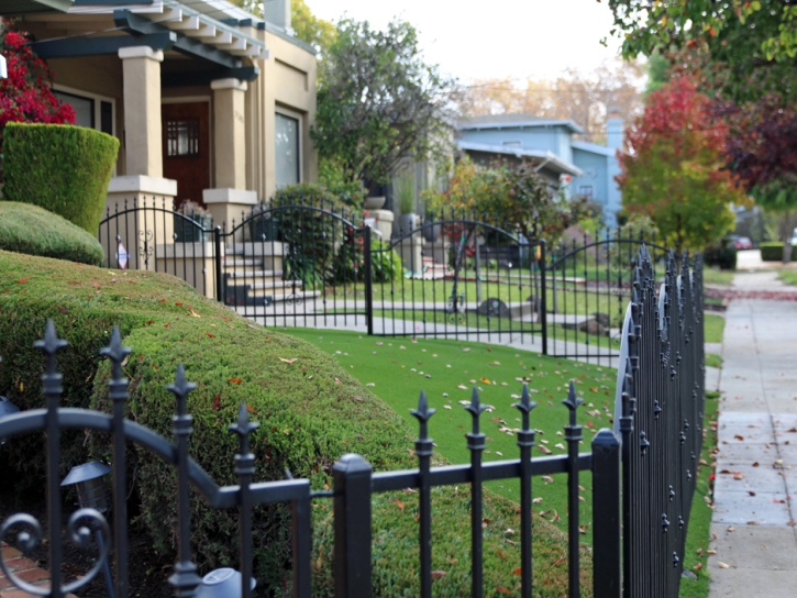 Synthetic Lawn Valentine, Arizona Roof Top, Front Yard Landscape Ideas