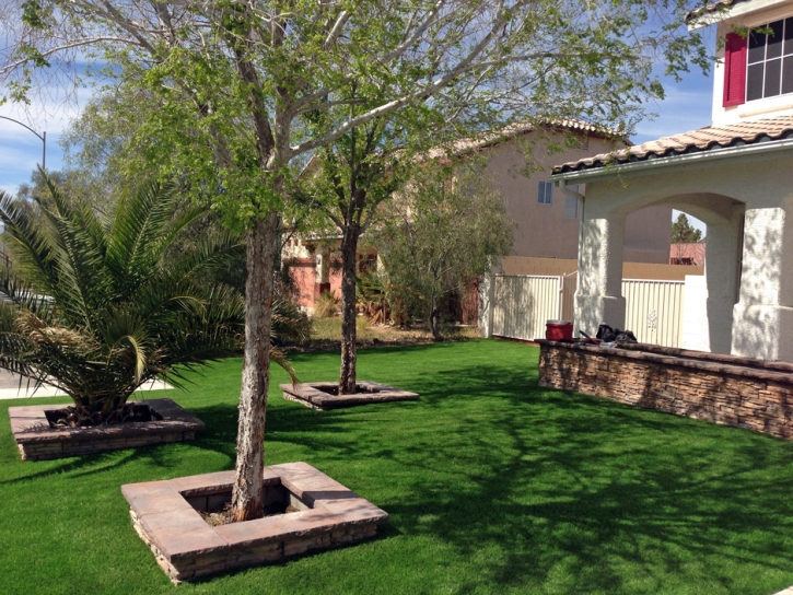 Synthetic Lawn Woodruff, Arizona City Landscape, Front Yard Ideas