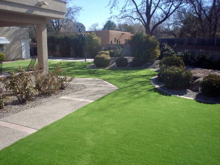 Synthetic Turf Chuichu, Arizona Design Ideas, Small Front Yard Landscaping