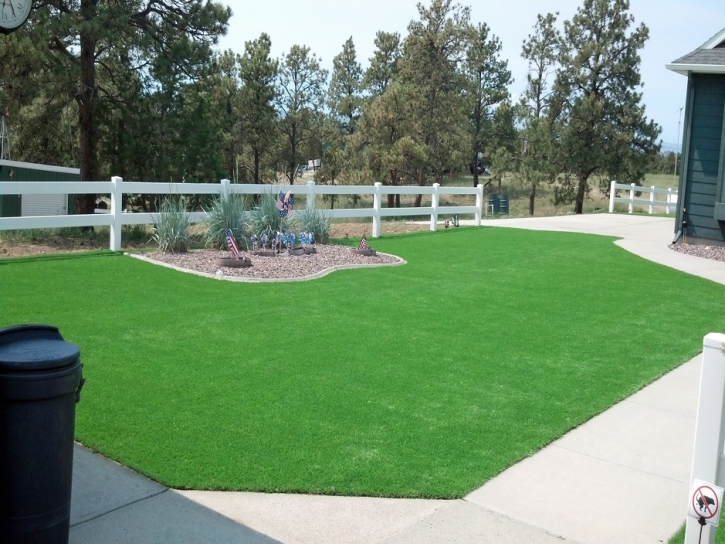 Synthetic Turf Jakes Corner, Arizona Gardeners, Front Yard Landscaping Ideas