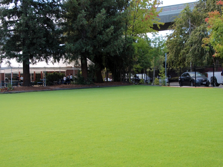 Synthetic Turf Kohatk, Arizona Backyard Playground, Commercial Landscape