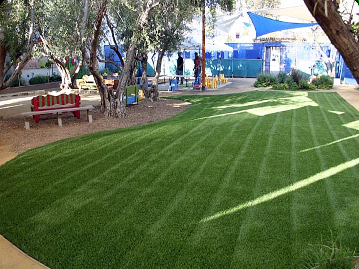 Synthetic Turf Queen Creek, Arizona Landscape Photos, Commercial Landscape