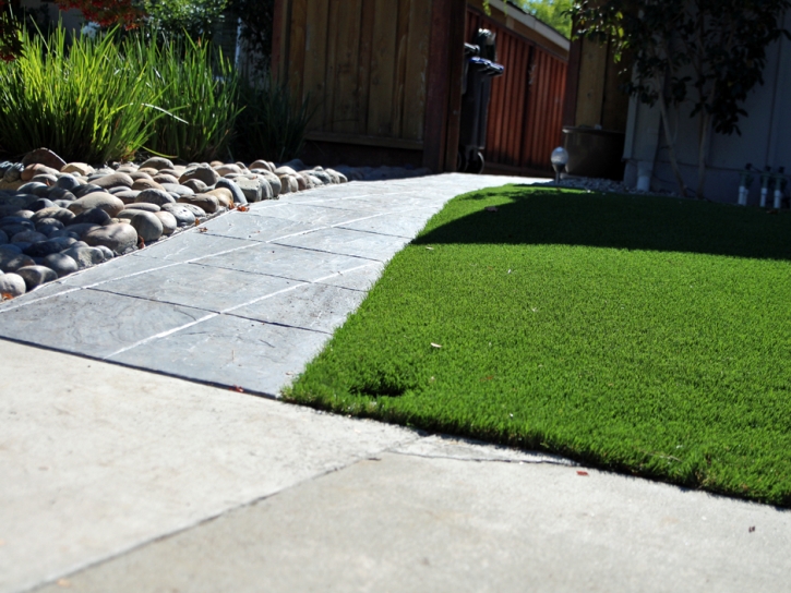 Synthetic Turf Santa Rosa, Arizona Rooftop, Front Yard