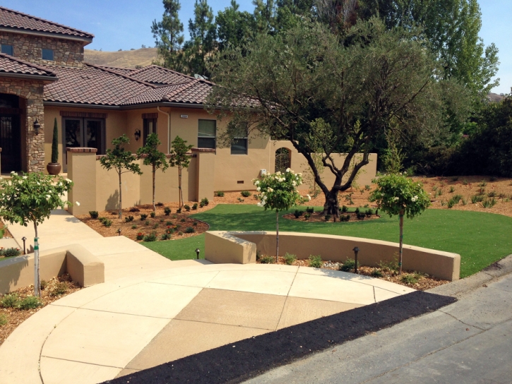 Synthetic Turf Seba Dalkai, Arizona Lawn And Garden, Front Yard Landscape Ideas