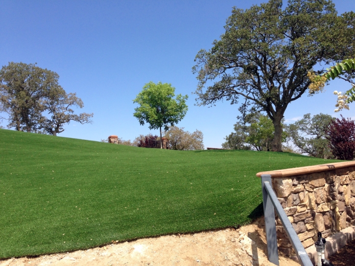 Synthetic Turf Supplier Ali Chukson, Arizona Landscape Design, Front Yard Design