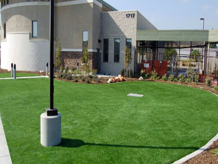 Synthetic Turf Supplier Blackwater, Arizona Paver Patio, Commercial Landscape