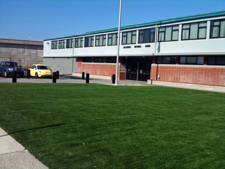 Synthetic Turf Supplier Eloy, Arizona Rooftop, Commercial Landscape