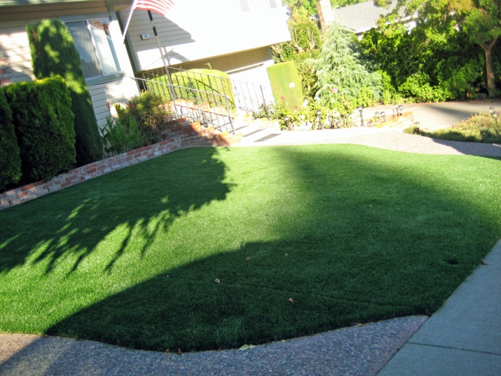 Synthetic Turf Supplier Oro Valley, Arizona Garden Ideas, Front Yard Design