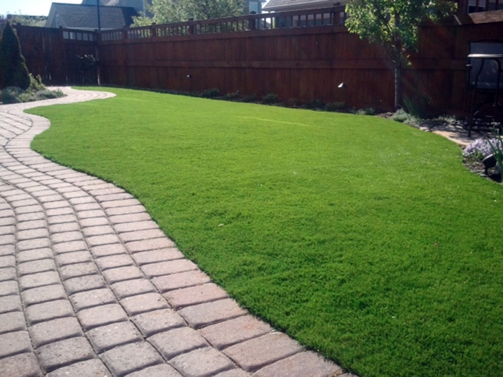 Synthetic Turf Supplier Peeples Valley, Arizona Hotel For Dogs, Small Backyard Ideas