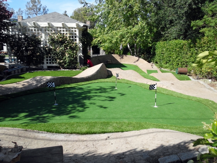 Synthetic Turf Supplier Superior, Arizona Backyard Putting Green, Backyard Ideas