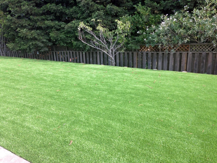 Synthetic Turf Verde Village, Arizona Landscaping Business, Backyard Ideas