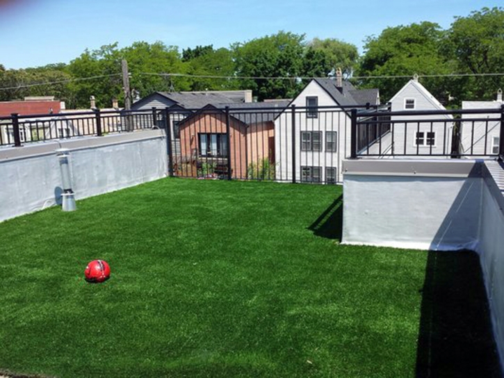 Synthetic Turf Wahak Hotrontk, Arizona Indoor Dog Park, Roof Top