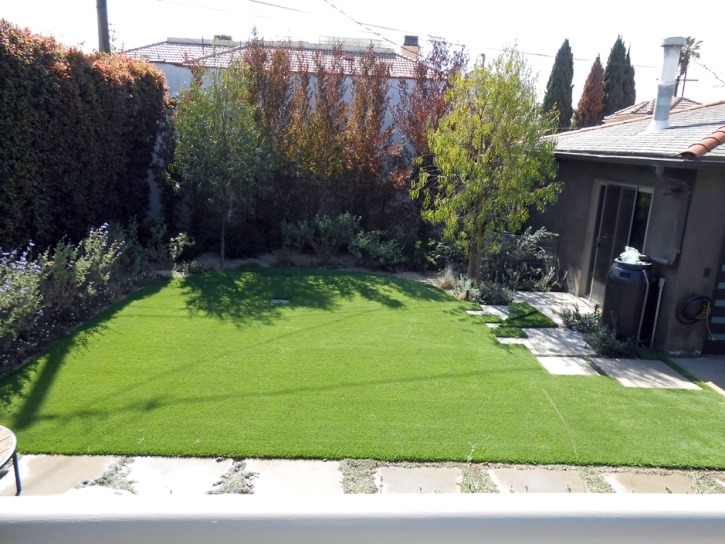 Turf Grass Bisbee, Arizona Gardeners, Backyard Designs