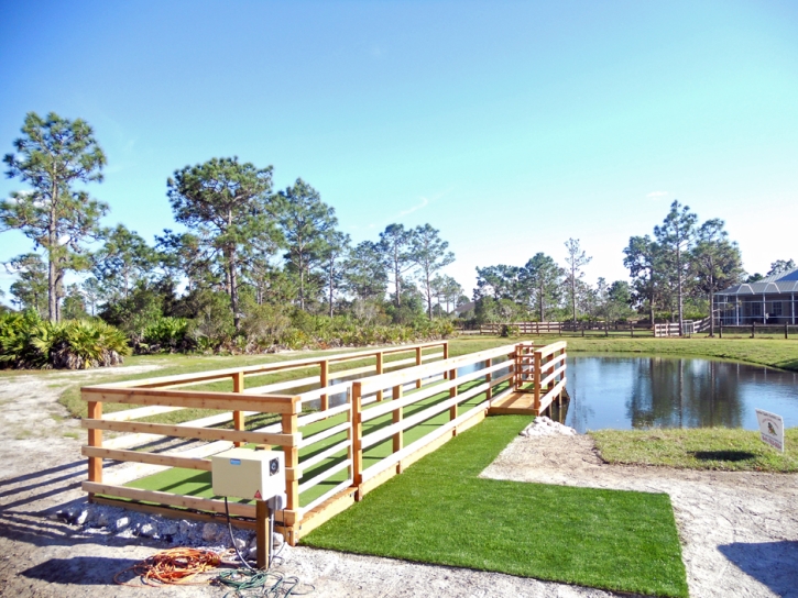 Turf Grass Huachuca City, Arizona Landscaping, Beautiful Backyards