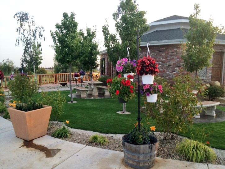 Turf Grass Mayer, Arizona Landscape Design, Commercial Landscape