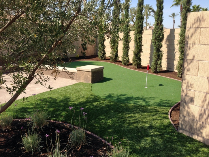 Turf Grass Red Rock, Arizona Putting Green Grass, Backyard Ideas