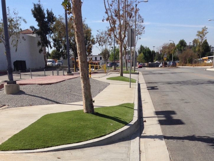 Turf Grass Snowflake, Arizona Backyard Playground, Commercial Landscape