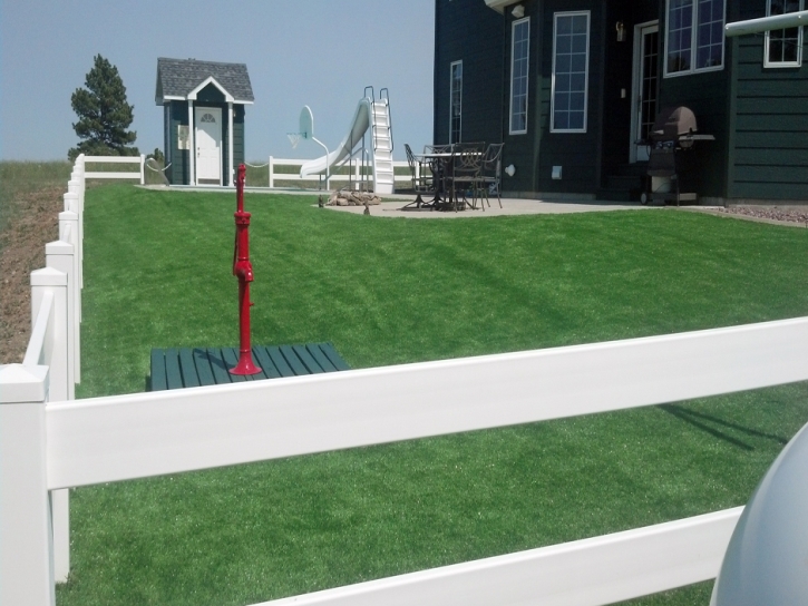 Turf Grass Springerville, Arizona Landscape Ideas, Front Yard Landscaping