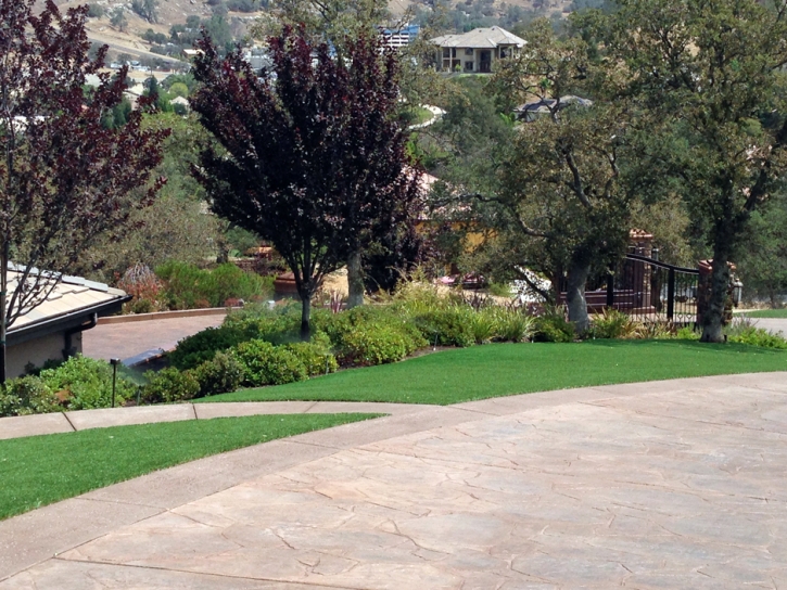 Turf Grass Washington Park, Arizona Backyard Playground, Front Yard Design